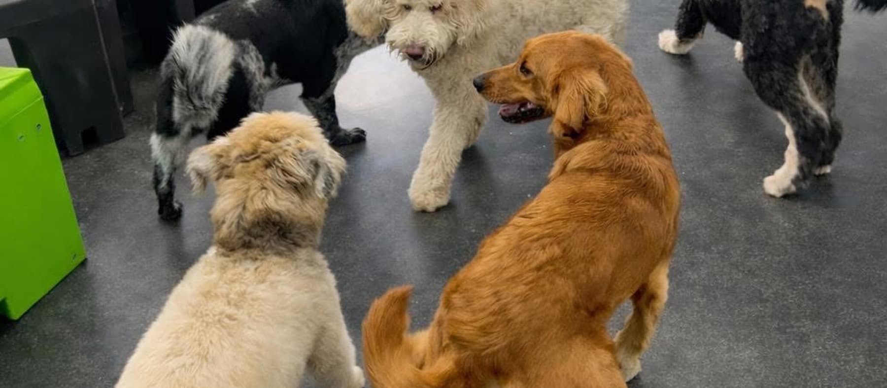 Daycare playgroup