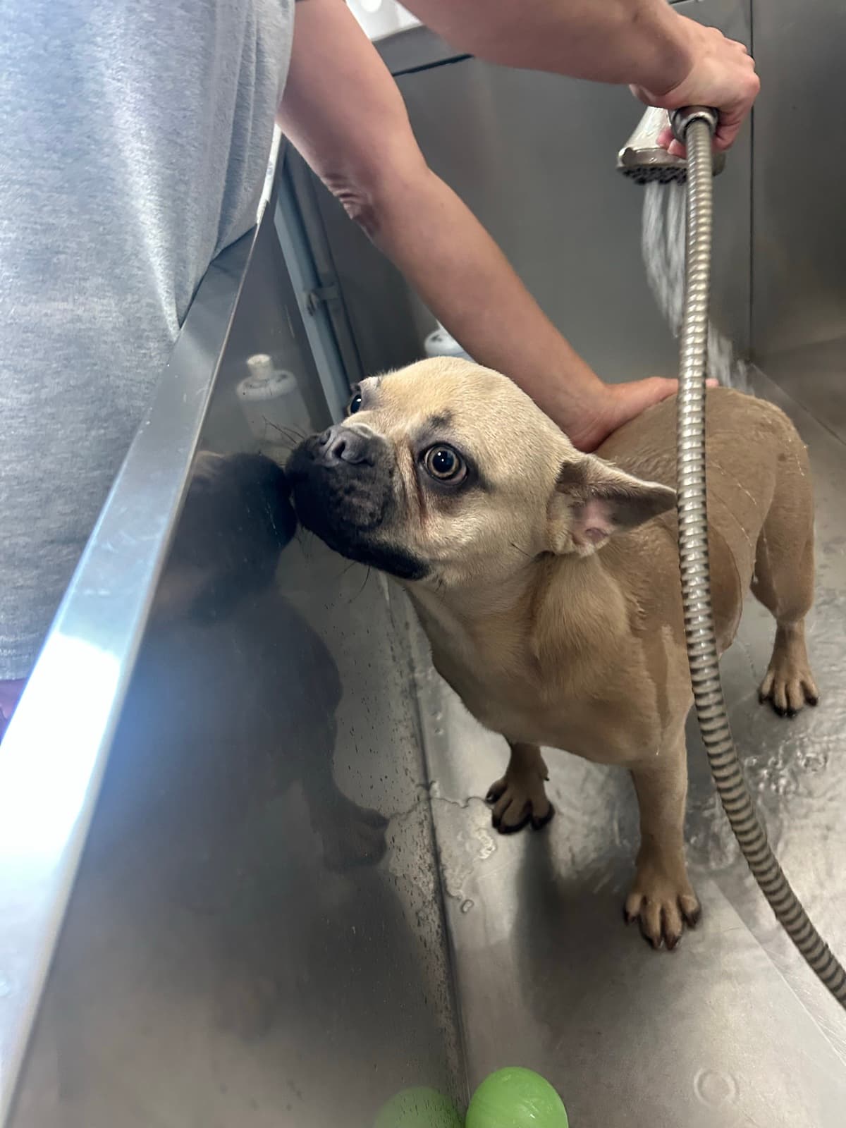 Bath time