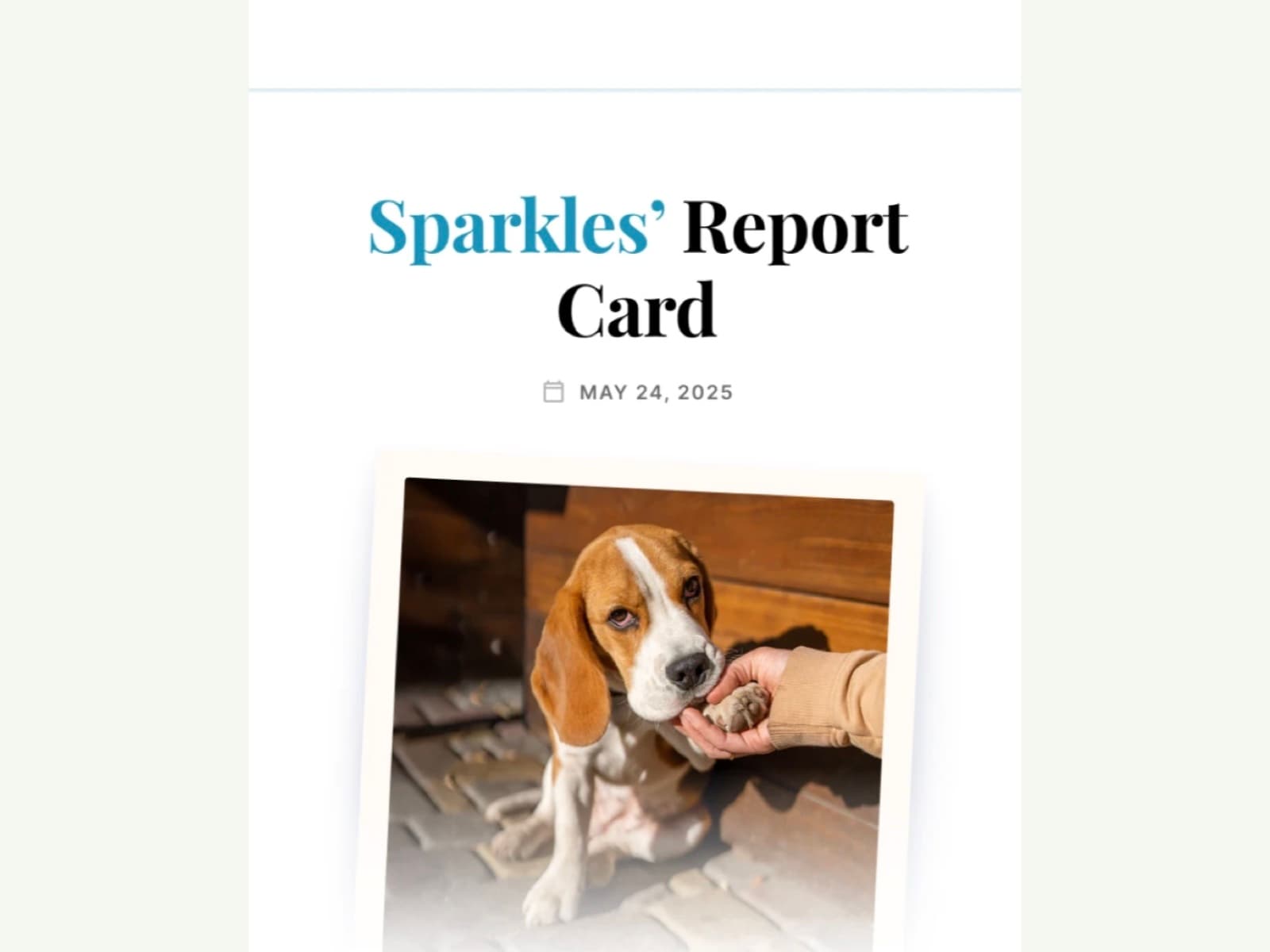 A report card on a phone